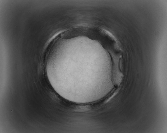 X0000084541453200703231704