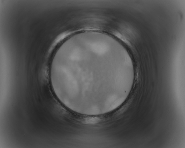 X0000084541454200703231704