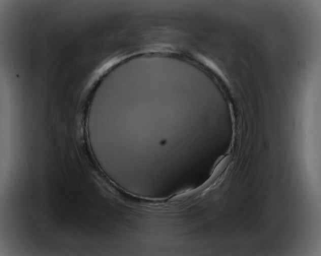 X0000084541455200703231704