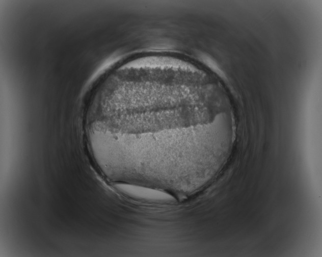 X0000084541456200703231704