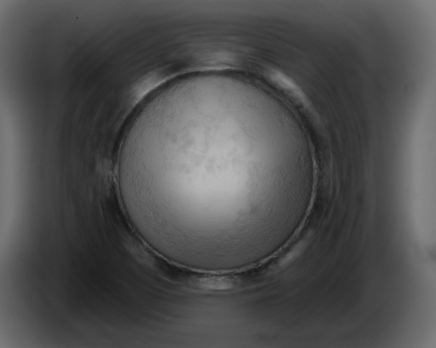 X0000084541457200703231704