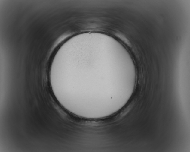 X0000084541458200703231704