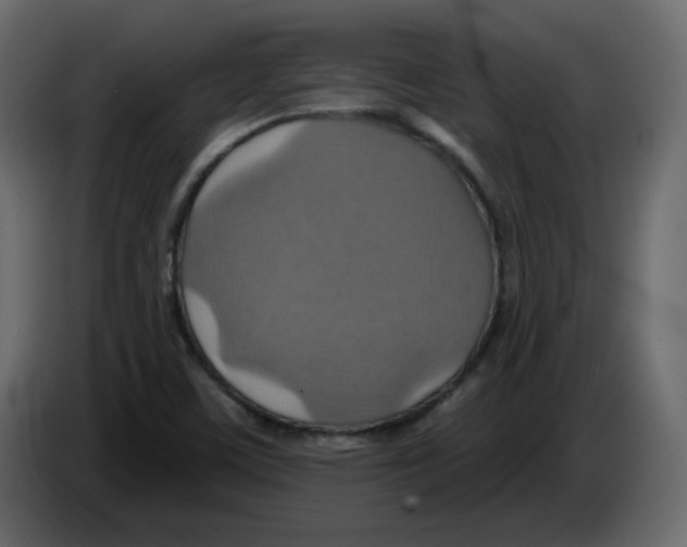 X0000084541459200703231704