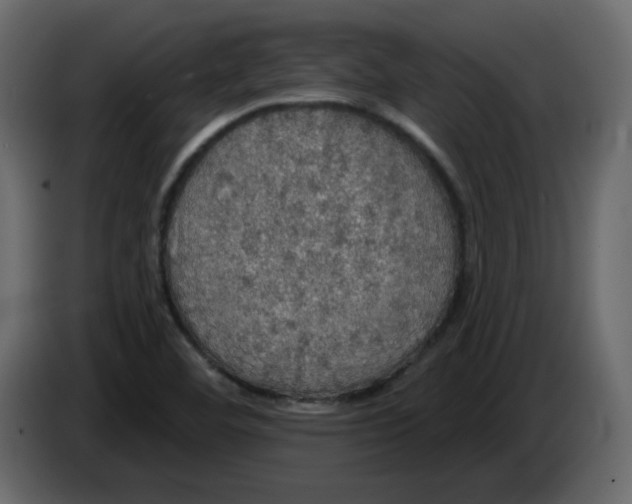 X0000084541460200703231704