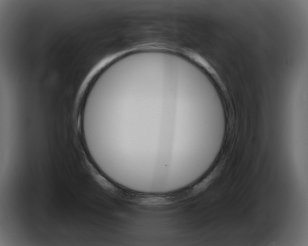 X0000084541462200703231704