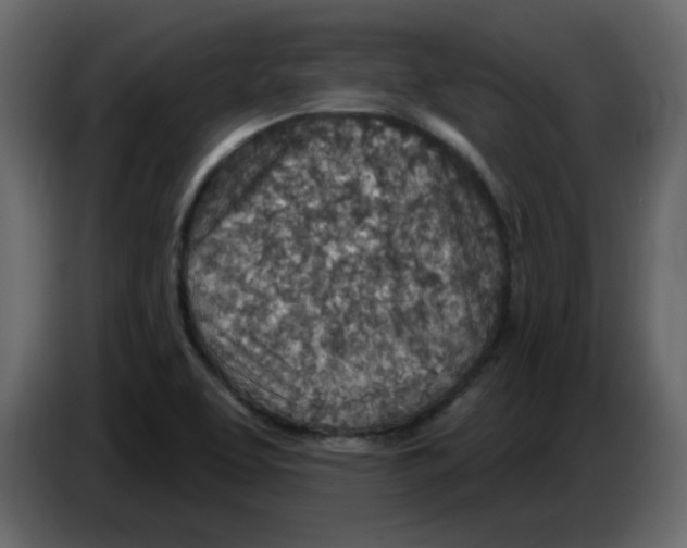 X0000084541463200703231703