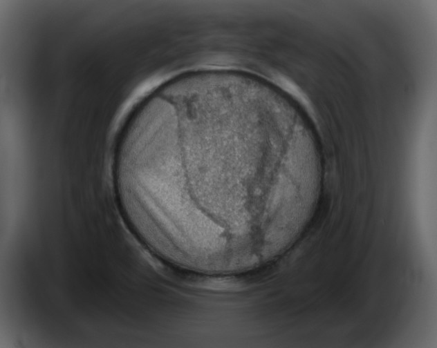 X0000084541464200703231703