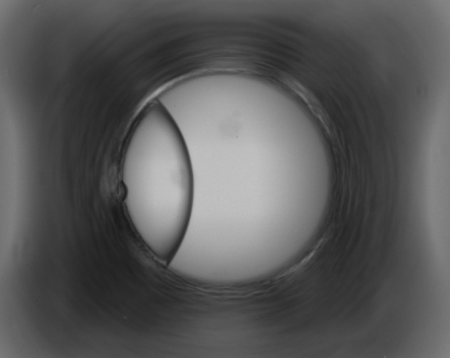 X0000084541465200703231703