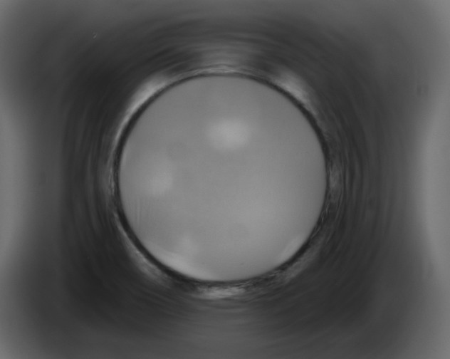 X0000084541466200703231703