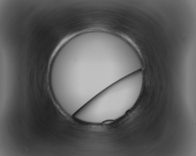 X0000084541469200703231703