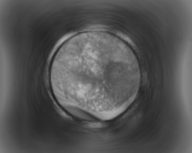 X0000084541470200703231703