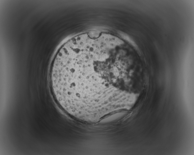 X0000084541471200703231703