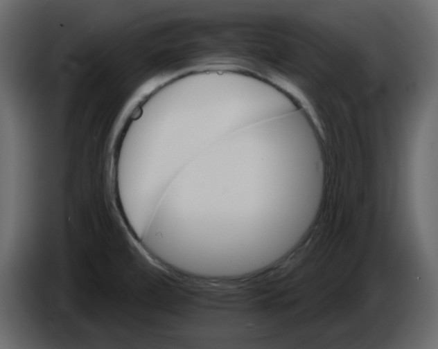 X0000084541472200703231703