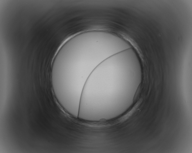 X0000084541473200703231703