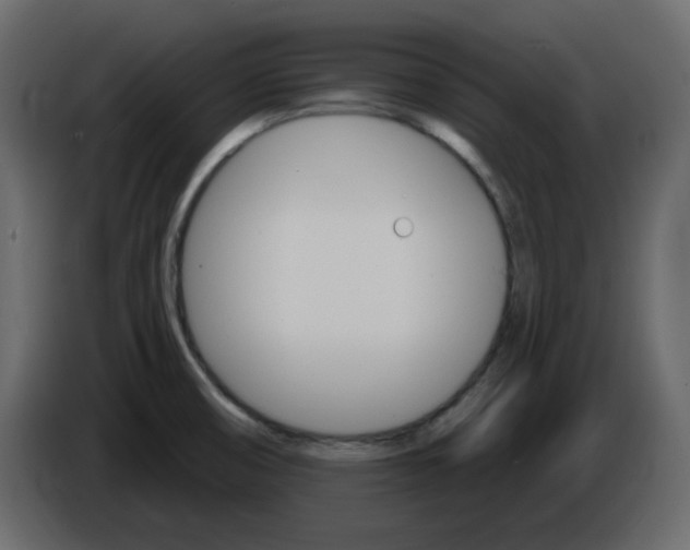 X0000084541474200703231703