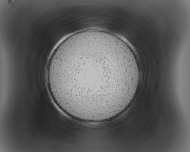 X0000084541476200703231703