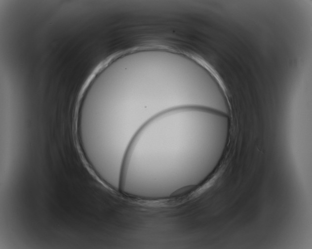 X0000084541477200703231703