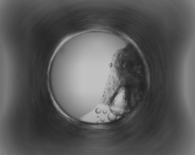 X0000084541479200703231703