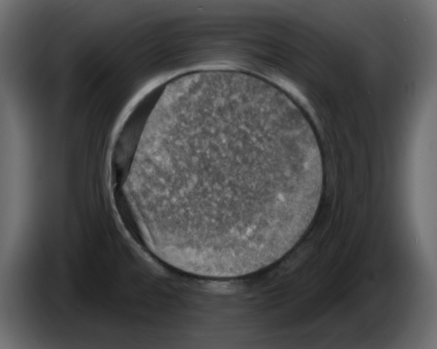 X0000084541480200703231703