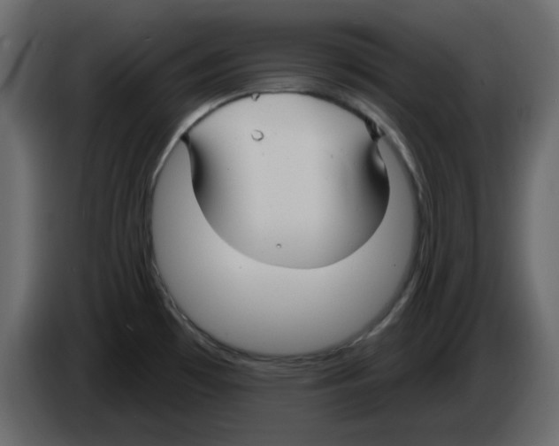 X0000084541481200703231703