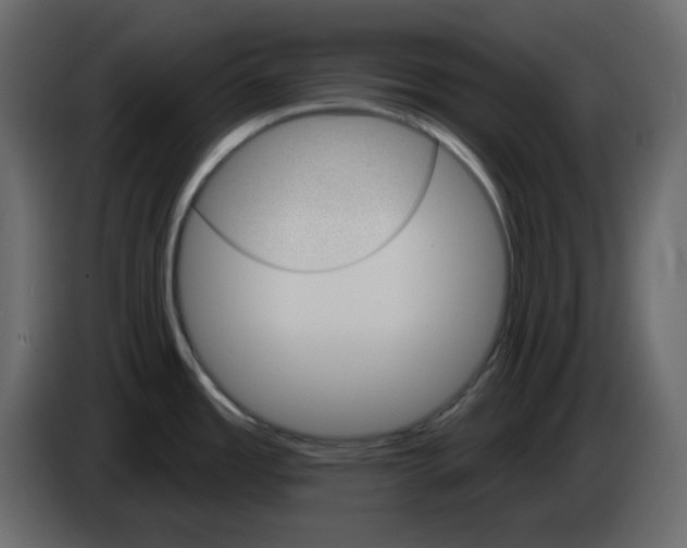 X0000084541485200703231703