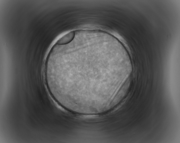 X0000084541486200703231703