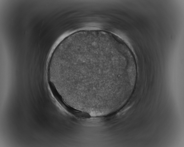 X0000084541488200703231703