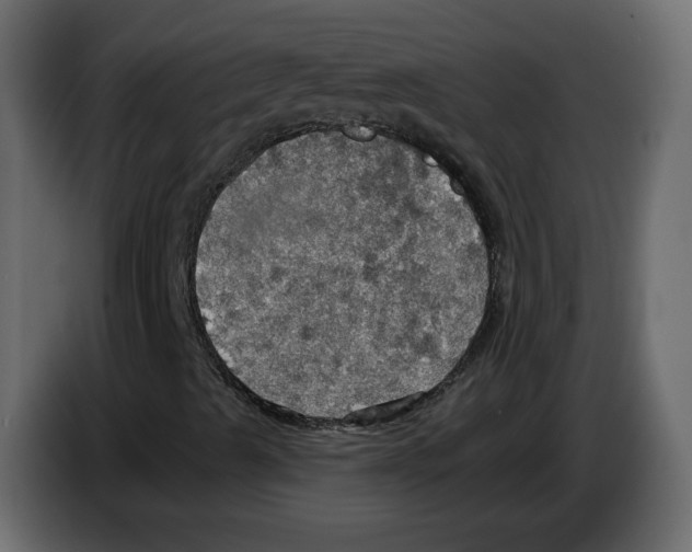 X0000084541489200703231702