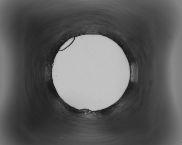 X0000084541491200703231702