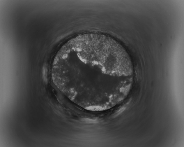 X0000084541494200703231703