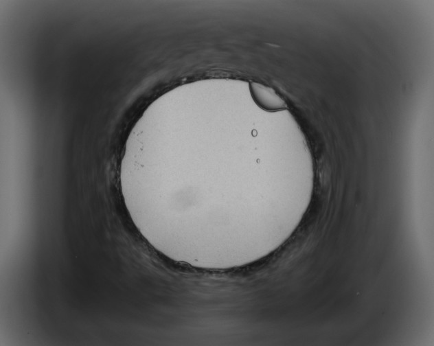 X0000084541495200703231703