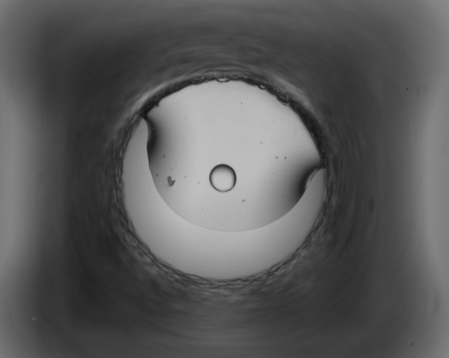 X0000084541496200703231703