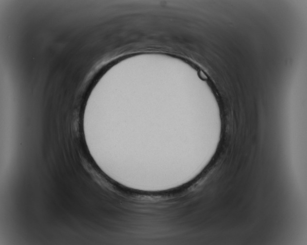 X0000084541499200703231703