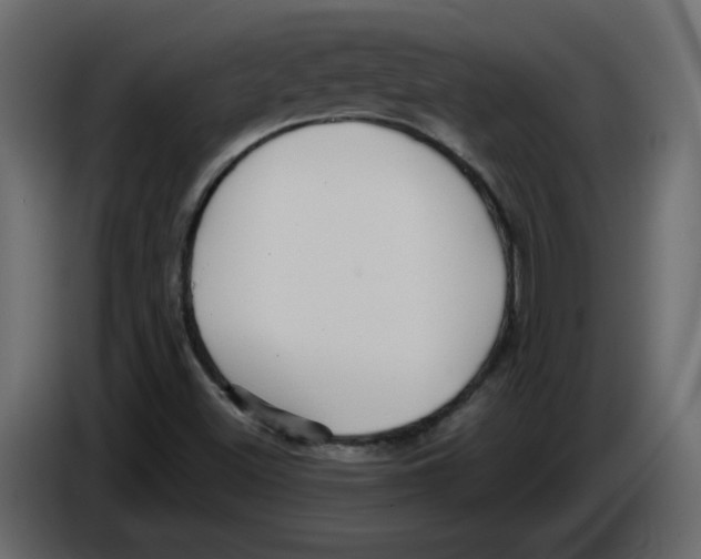 X0000084541500200703231703