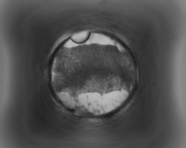 X0000084541501200703231703