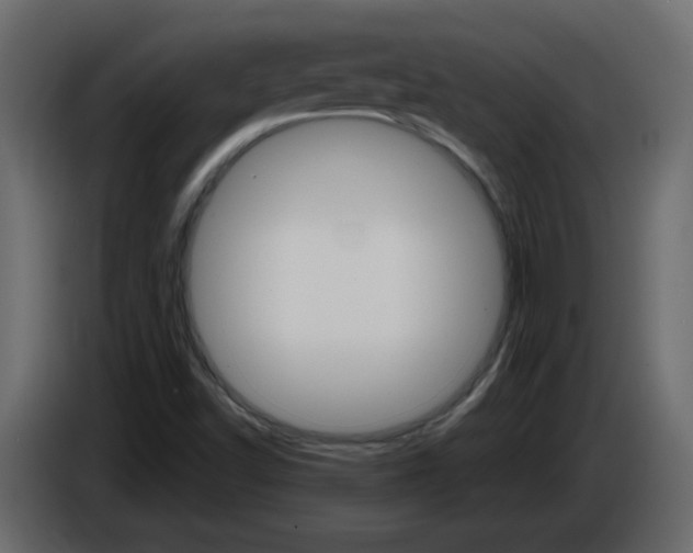 X0000084541502200703231703