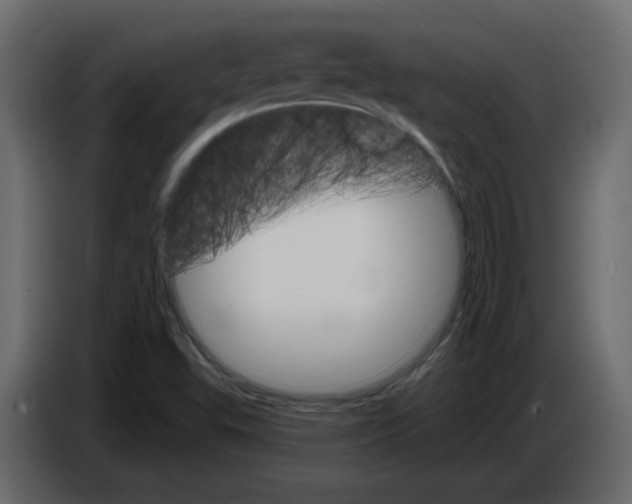 X0000084541503200703231703