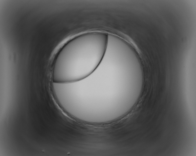 X0000084541504200703231703