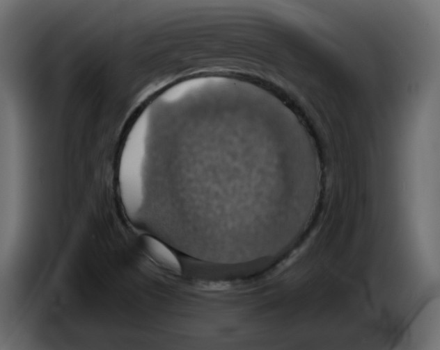 X0000084541505200703231703