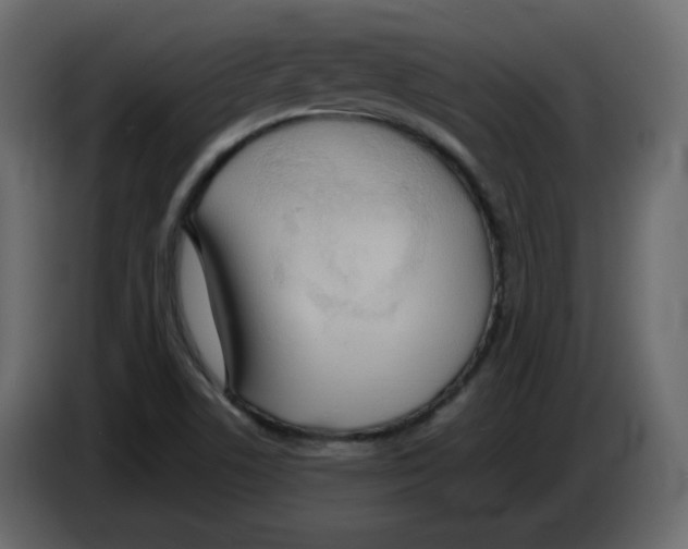 X0000084541506200703231703