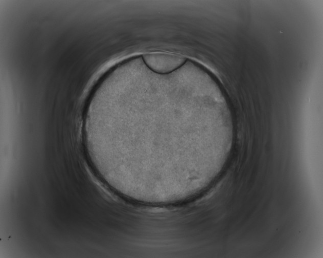 X0000084541507200703231703