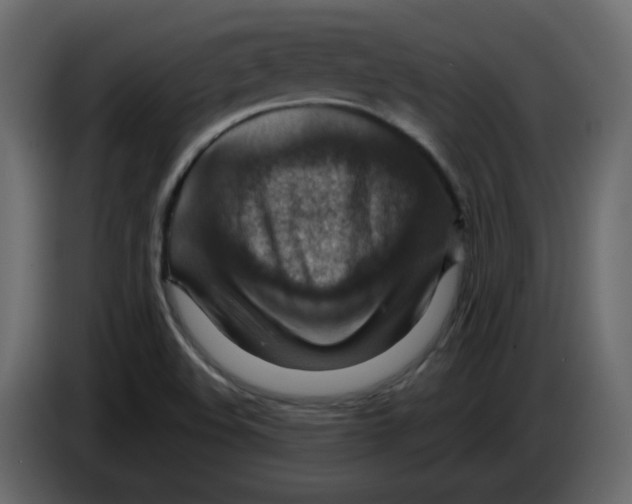 X0000084541508200703231703