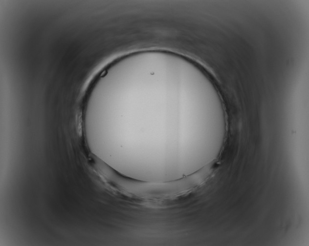 X0000084541510200703231703