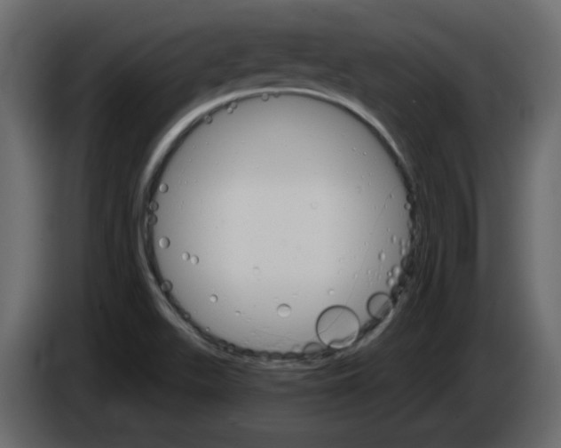 X0000084541511200703231703