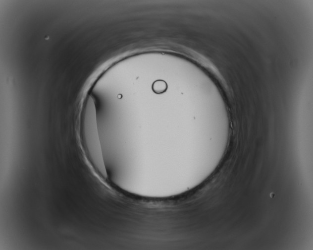 X0000084541512200703231703