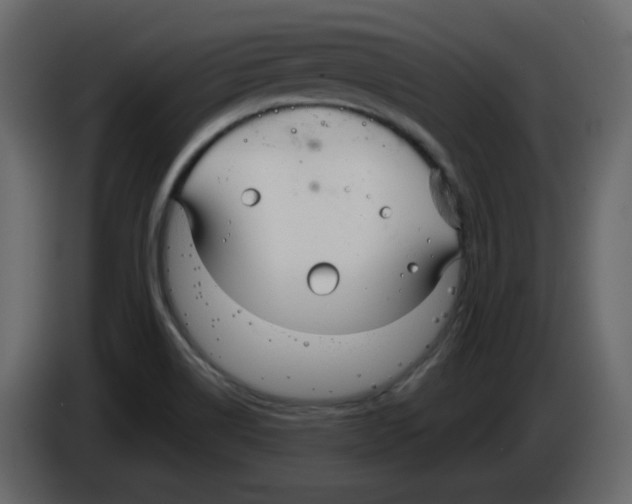 X0000084541514200703231703