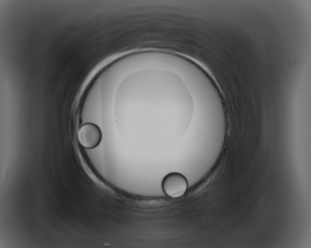 X0000084541515200703231703