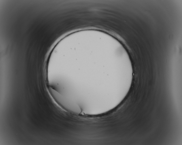 X0000084541516200703231703