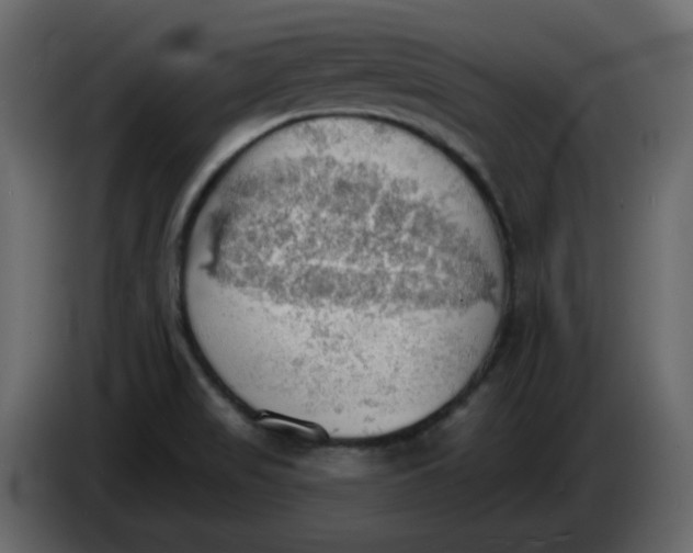 X0000084541517200703231703