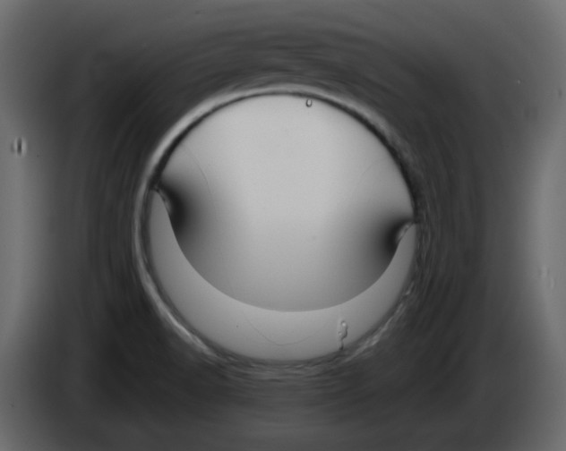 X0000084541518200703231703